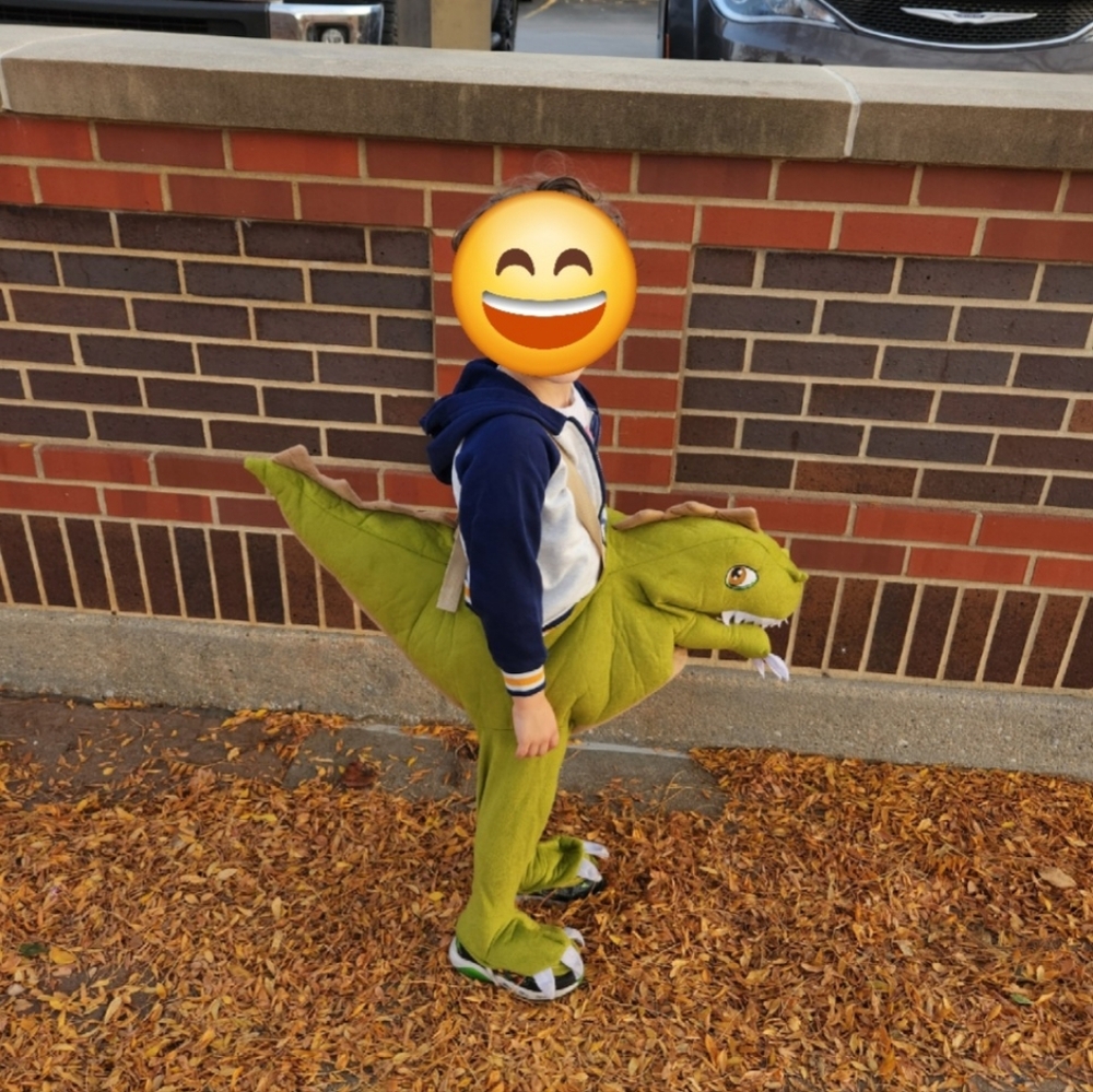 Kids Dinosaur Costume